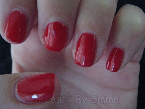 Shellac Wildfire - Day 6
